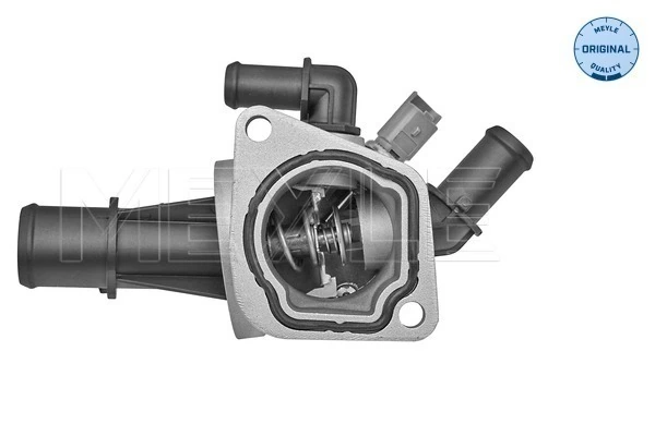 Termostat lichid racire
