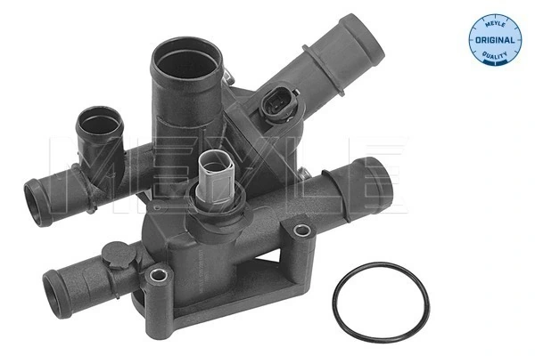 Termostat lichid racire