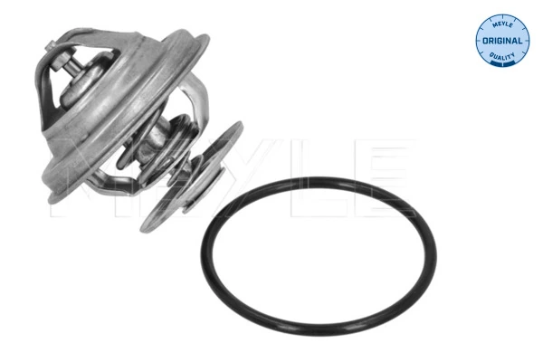 Termostat lichid racire