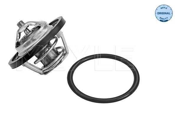 Termostat lichid racire