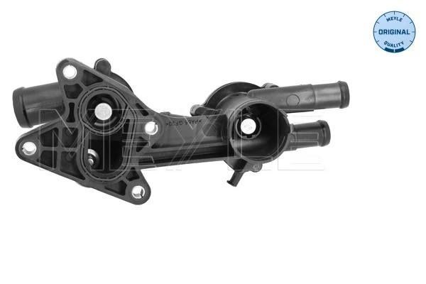 Termostat lichid racire