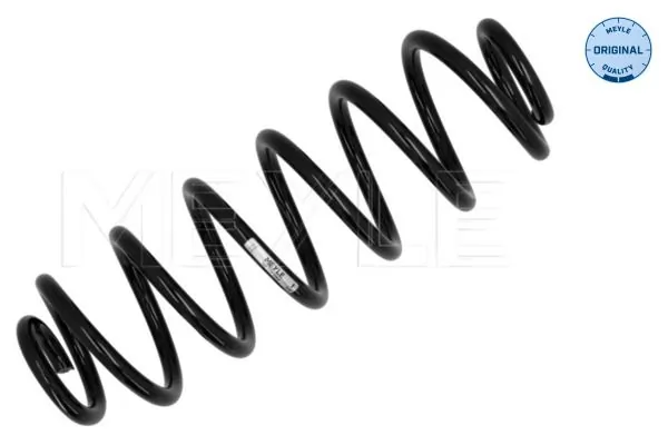 Arc suspensie spate
