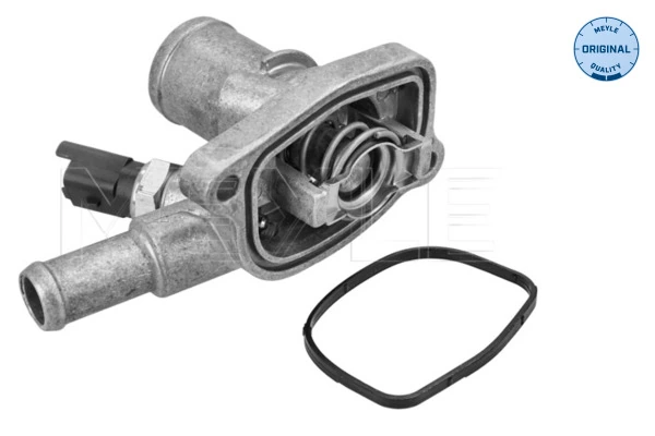 Termostat lichid racire