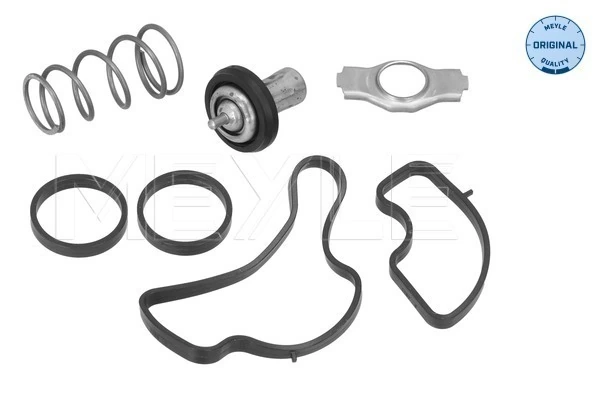Termostat lichid racire