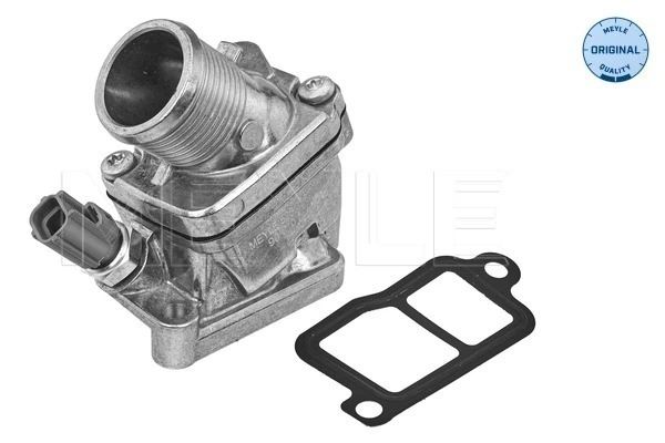 Termostat lichid racire