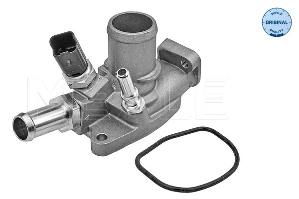 Termostat,lichid racire