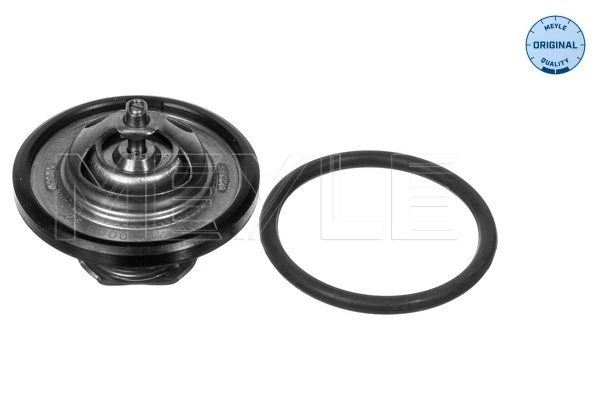 Termostat lichid racire