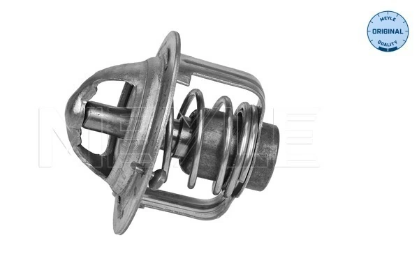 Termostat lichid racire