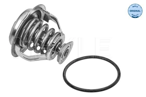 Termostat lichid racire