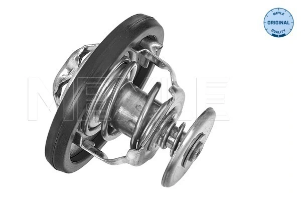Termostat lichid racire