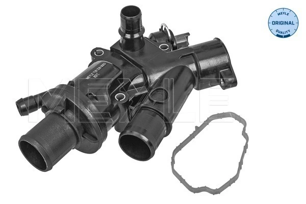 Termostat lichid racire
