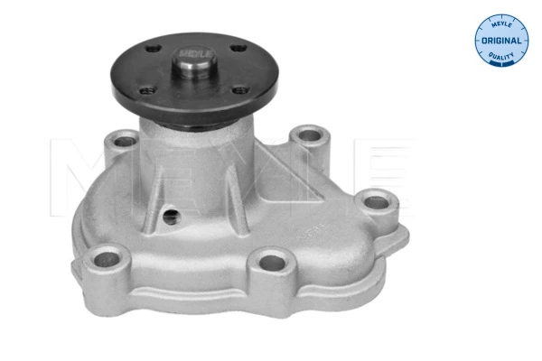 Pompa de apa, racire motor