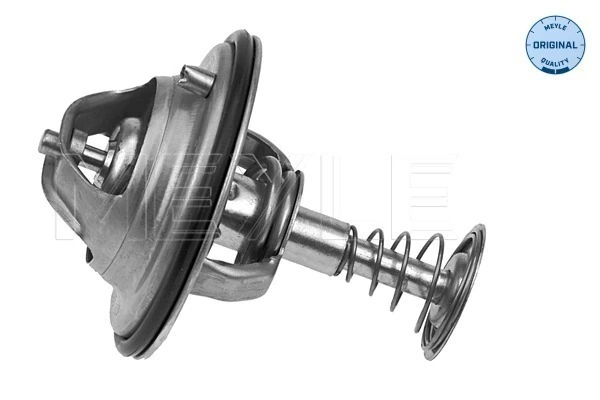 Termostat lichid racire