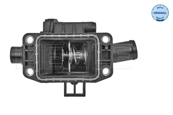 Termostat lichid racire