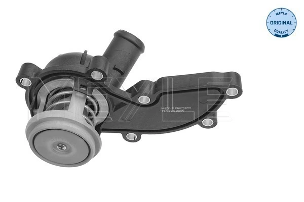 Termostat lichid racire