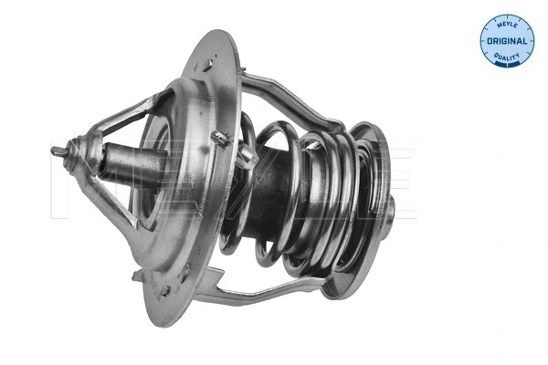 Termostat lichid racire