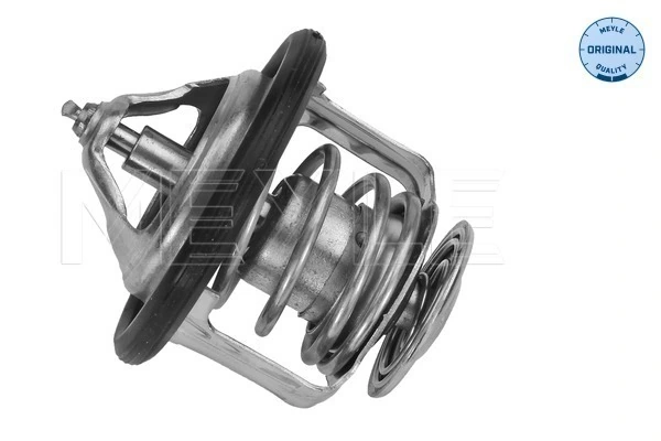 Termostat lichid racire