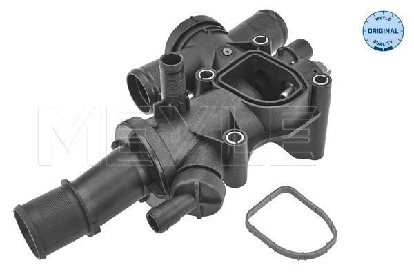 Termostat lichid racire
