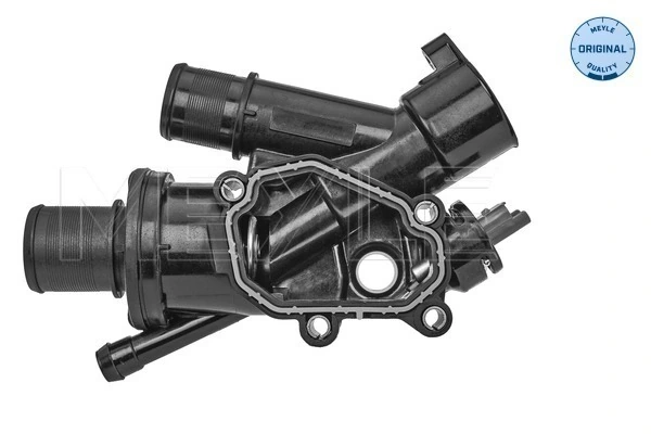 Termostat lichid racire