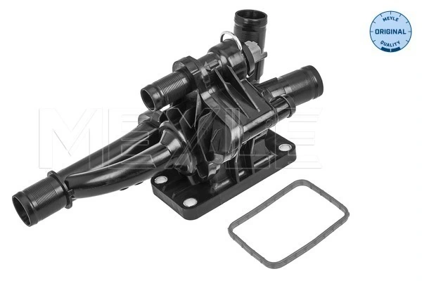 Termostat lichid racire