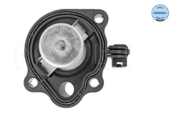 Termostat lichid racire