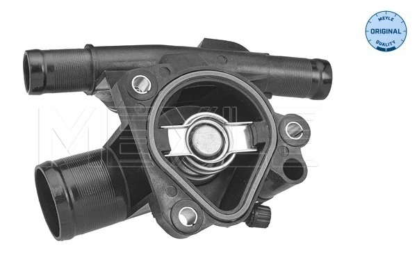 Termostat lichid racire