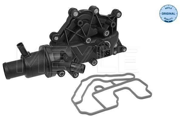 Termostat lichid racire