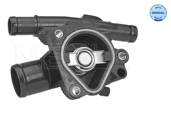 Termostat lichid racire