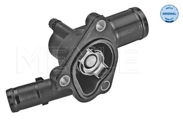 Termostat lichid racire