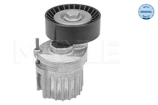 Intinzator curea distributie