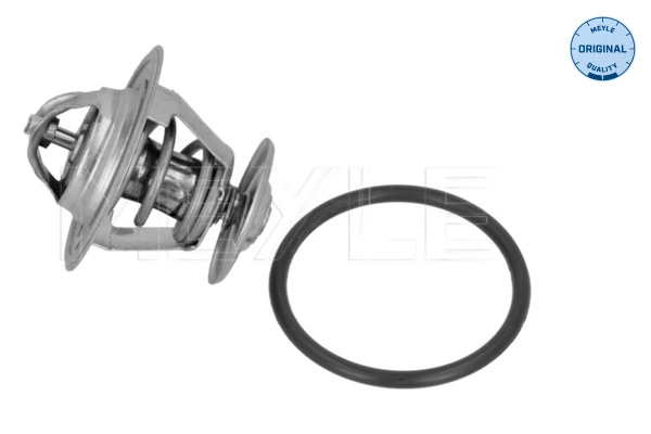 Termostat lichid racire