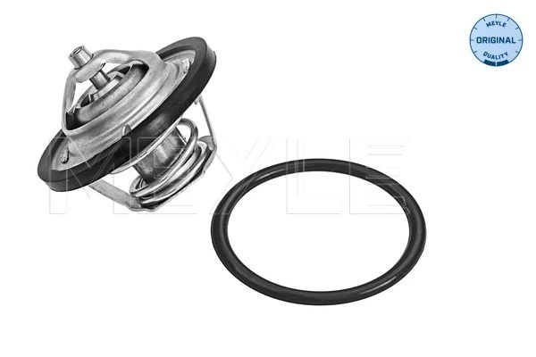 Termostat lichid racire