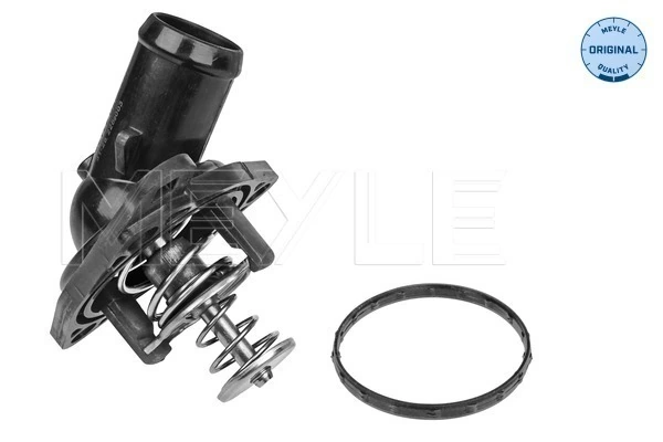 Termostat lichid racire