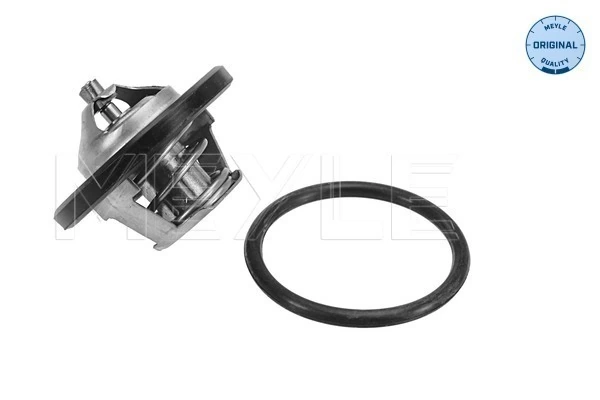 Termostat lichid racire
