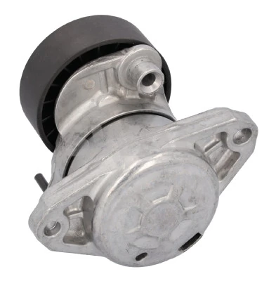 Intinzator curea distributie