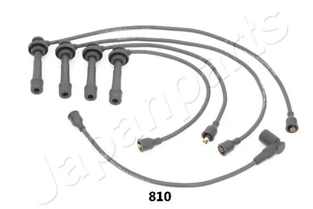 Fise bujii
