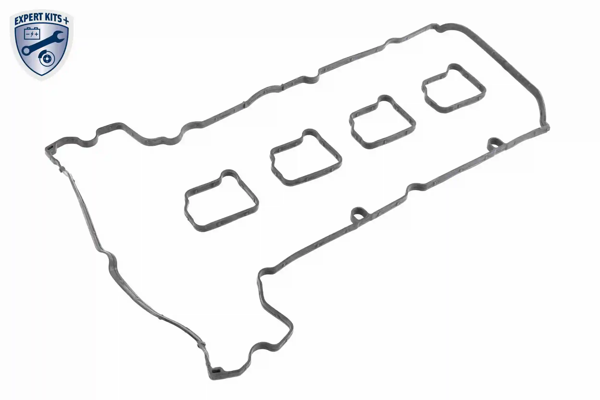 Capac culbutori