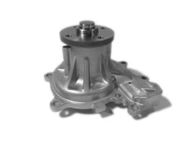 Pompa de apa, racire motor