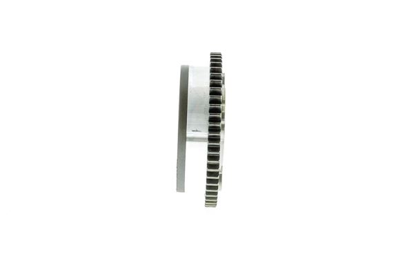 Element de reglare arbore excentirc (cursa variabila ventil