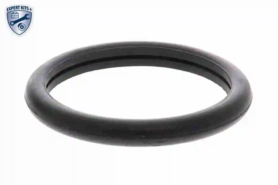 Termostat,lichid racire