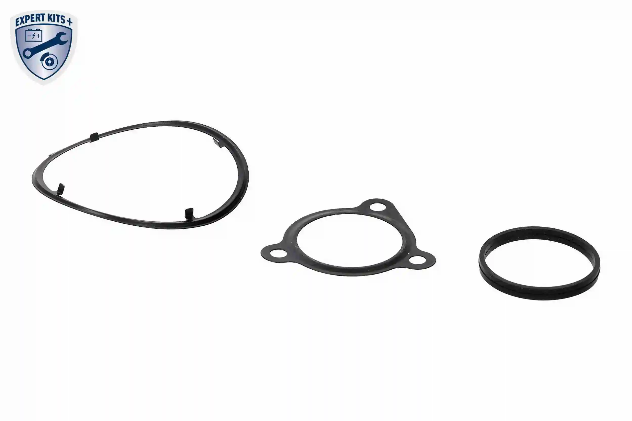Set garnituri sistem EGR