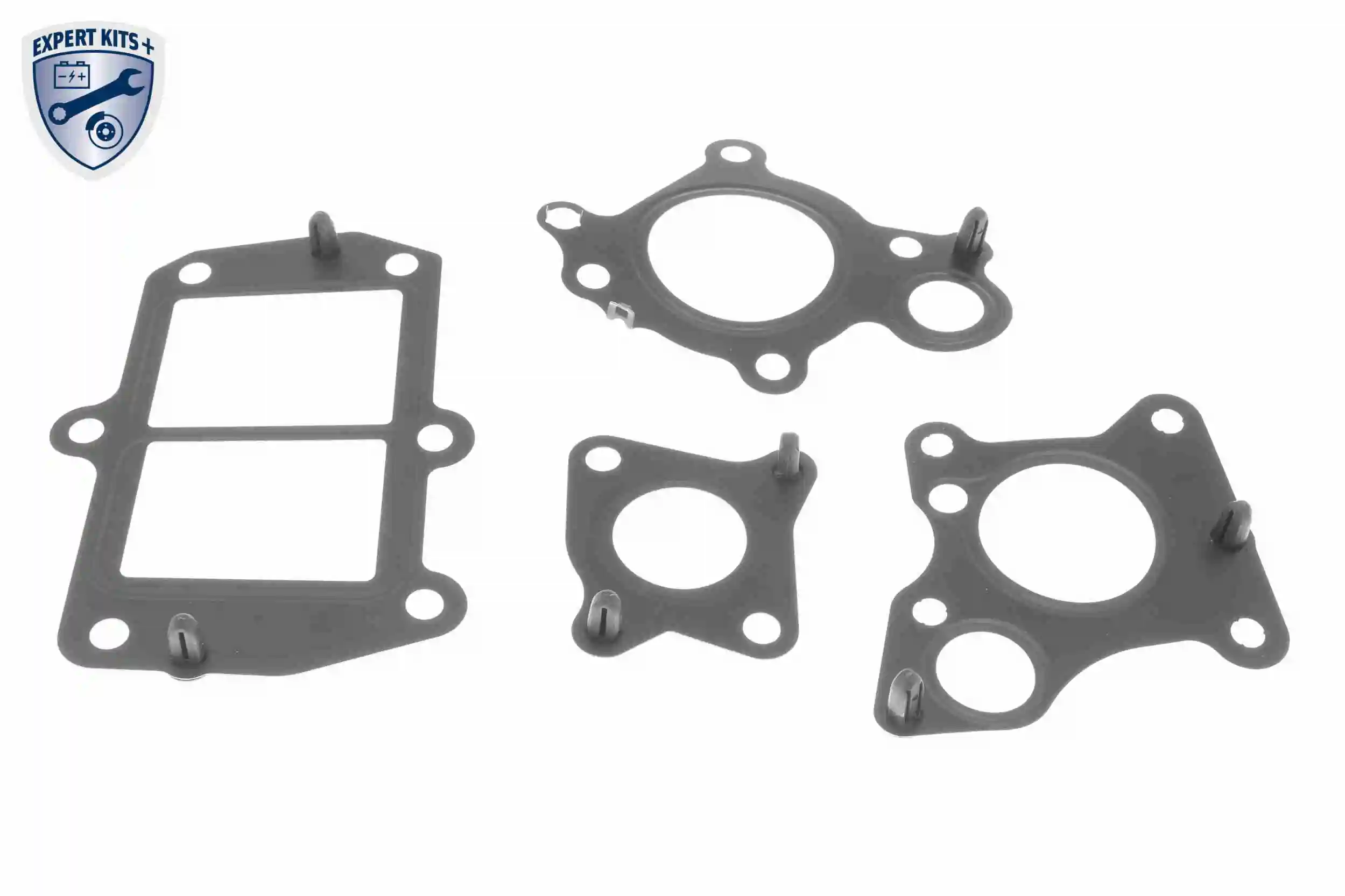 Set garnituri sistem EGR
