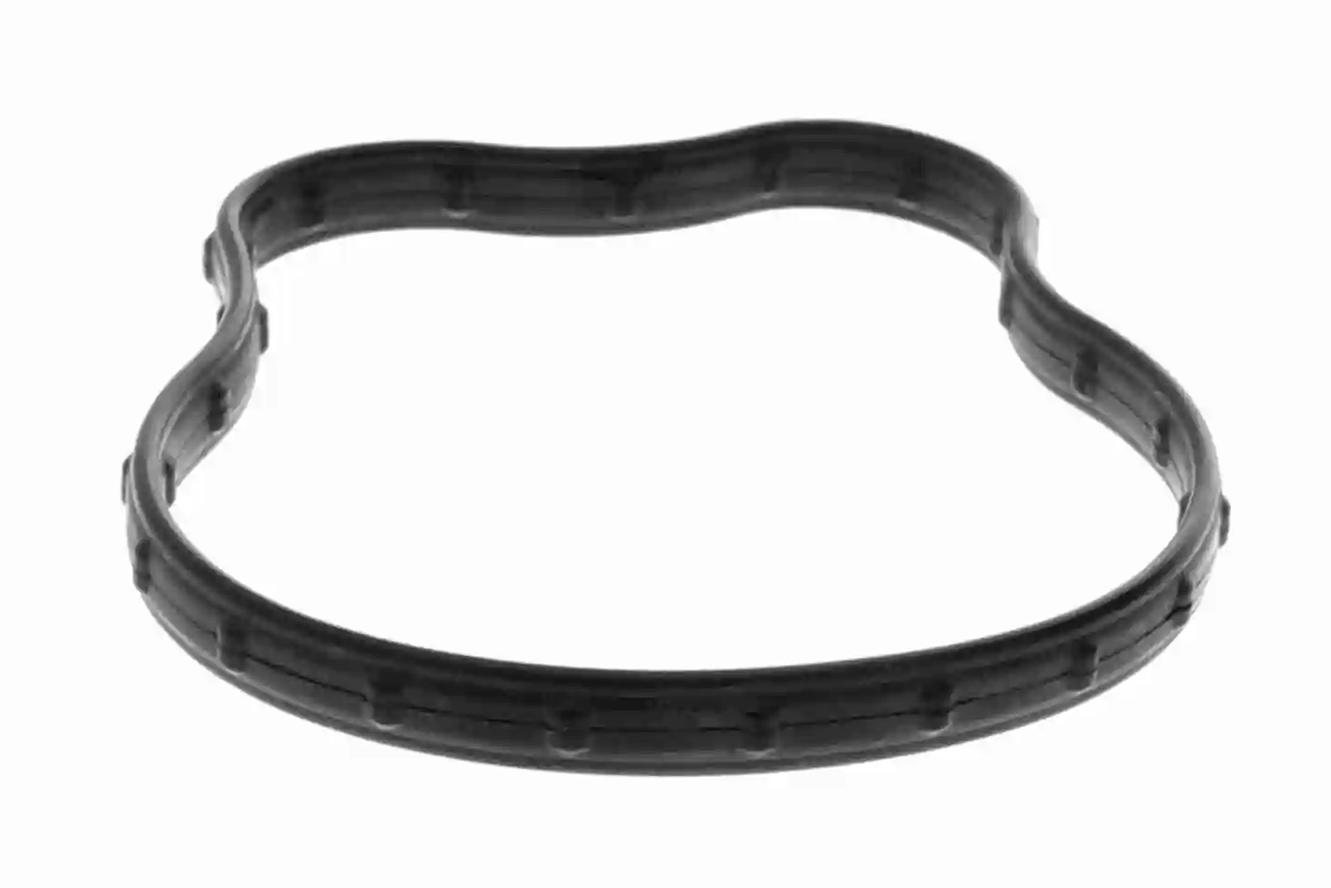 Carcasa termostat