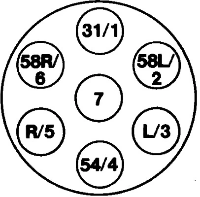 Stecher
