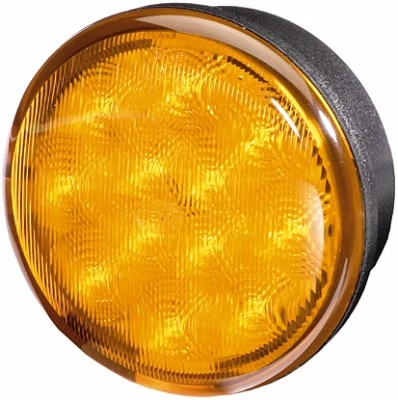 Semnalizator