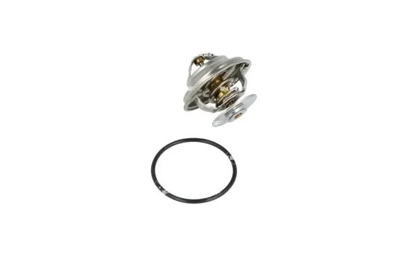 Termostat lichid racire