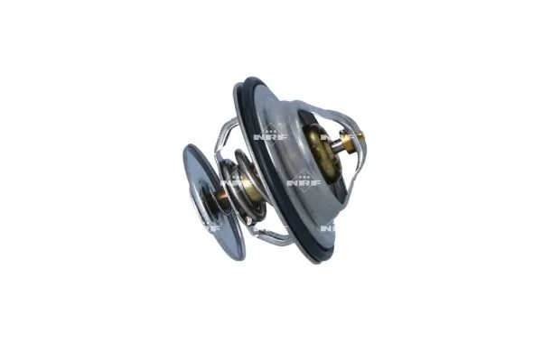 Termostat lichid racire