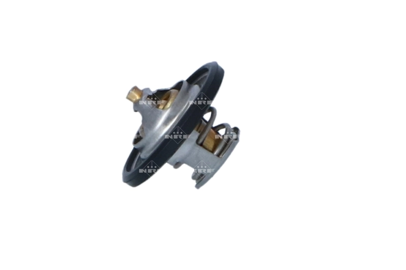 Termostat lichid racire