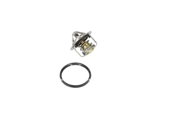 Termostat lichid racire