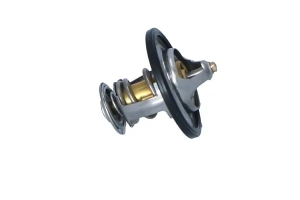 Termostat lichid racire